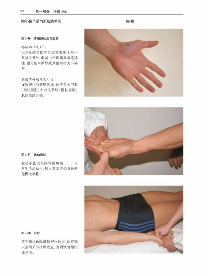 绛嬭啘鎵嬫硶瀹炵敤鎸囧崡txt,绛嬭啘鎵嬫硶瀹炶返鎿嶄綔pdf