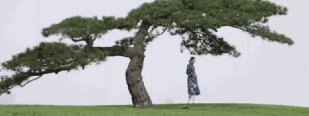 我的衣橱手工衣服怎么样,我的衣橱英语创意作业