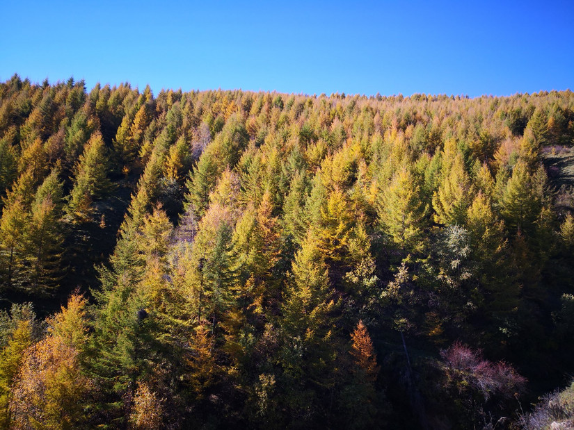 朝拜五台文殊菩萨,大朝台朝拜五方文殊门票