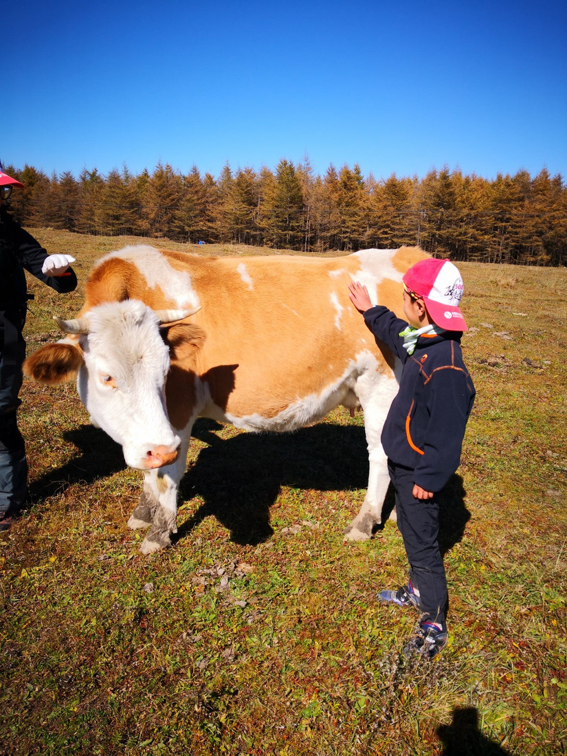 朝拜五台文殊菩萨,大朝台朝拜五方文殊门票