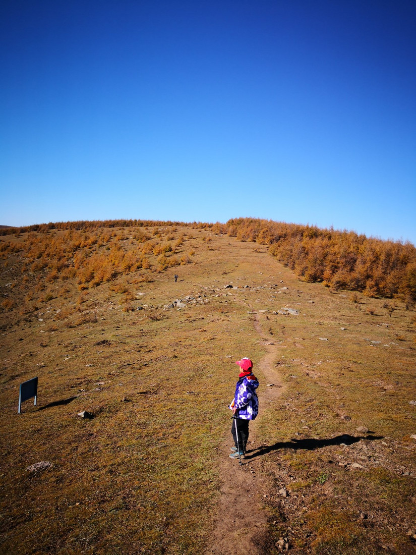 朝拜五台文殊菩萨,大朝台朝拜五方文殊门票