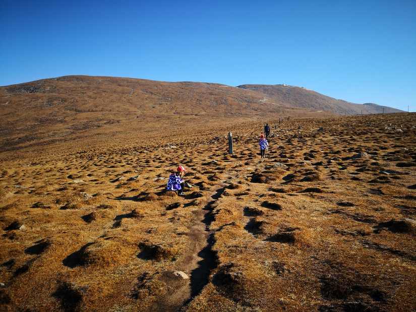 朝拜五台文殊菩萨,大朝台朝拜五方文殊门票