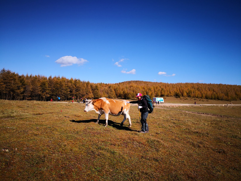 朝拜五台文殊菩萨,大朝台朝拜五方文殊门票