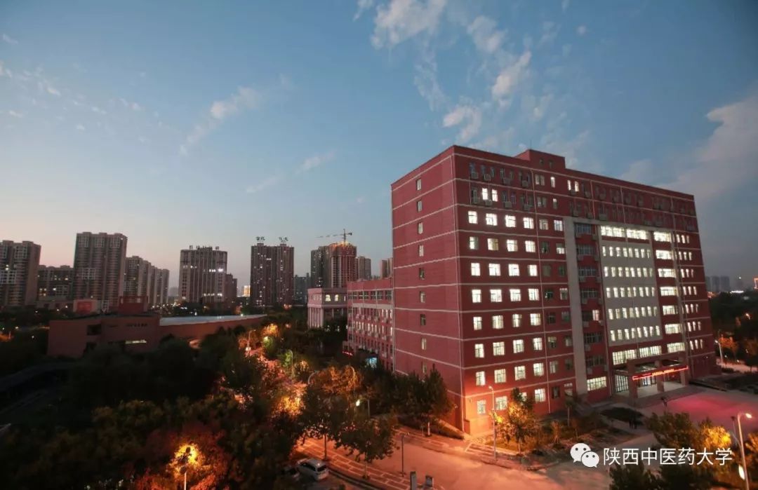 陕中大最火的这几款色号，你种草了么？