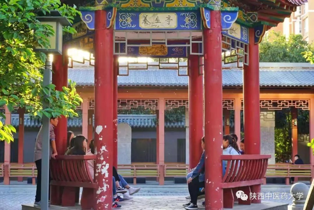 陕中大最火的这几款色号，你种草了么？