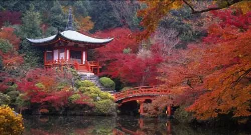 河南秋季最美红叶,河南十大红叶观赏地