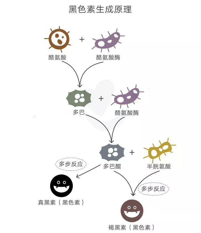 网红卖的美白丸,网红推荐的美白丸