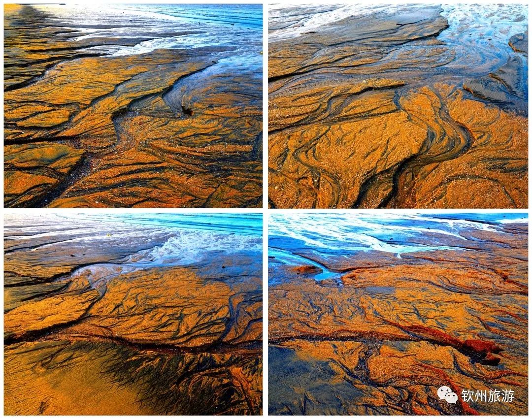 我们一起赶海,赶海攻略北戴河9月份赶海时间表