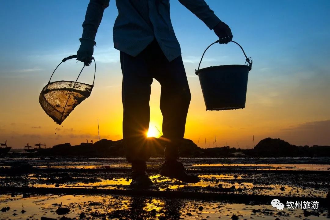 我们一起赶海,赶海攻略北戴河9月份赶海时间表