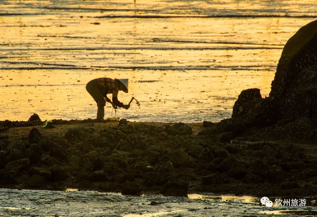 我们一起赶海,赶海攻略北戴河9月份赶海时间表
