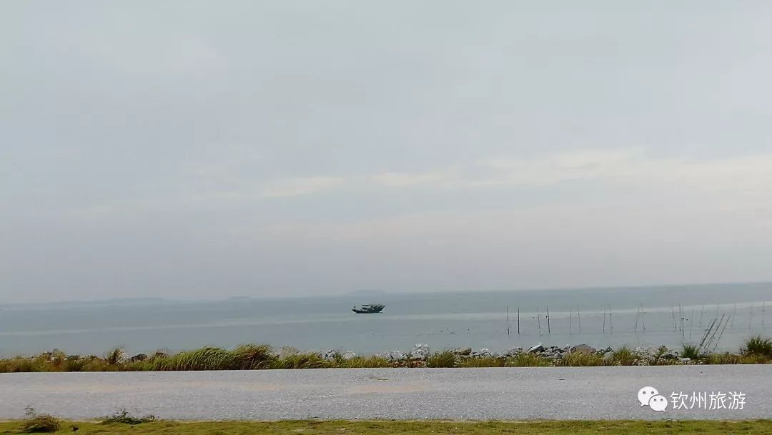 我们一起赶海,赶海攻略北戴河9月份赶海时间表