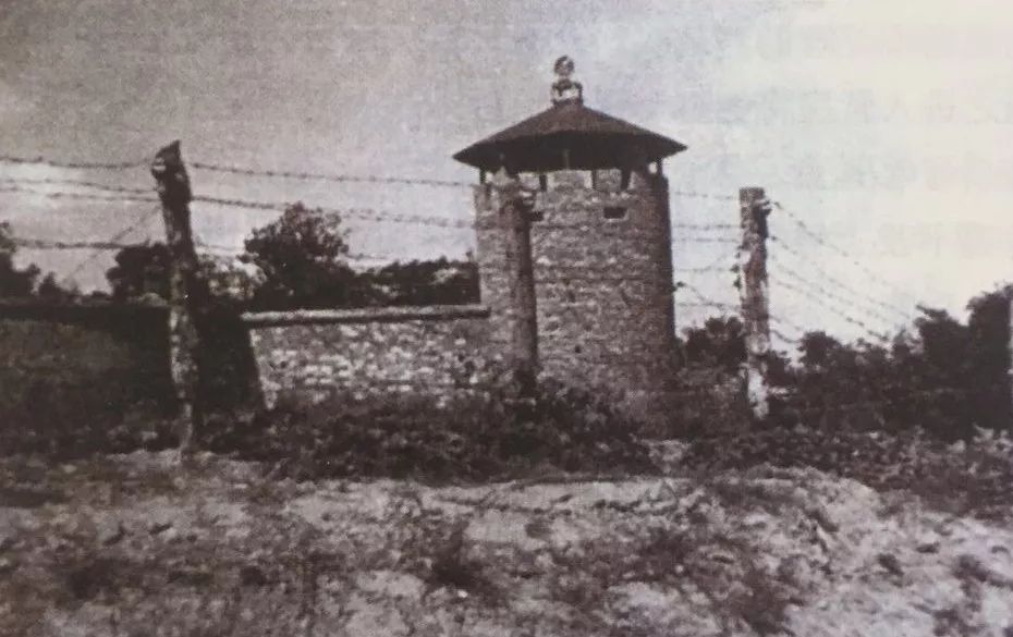 沧桑乐道院图片,百年沧桑乐道院完整版