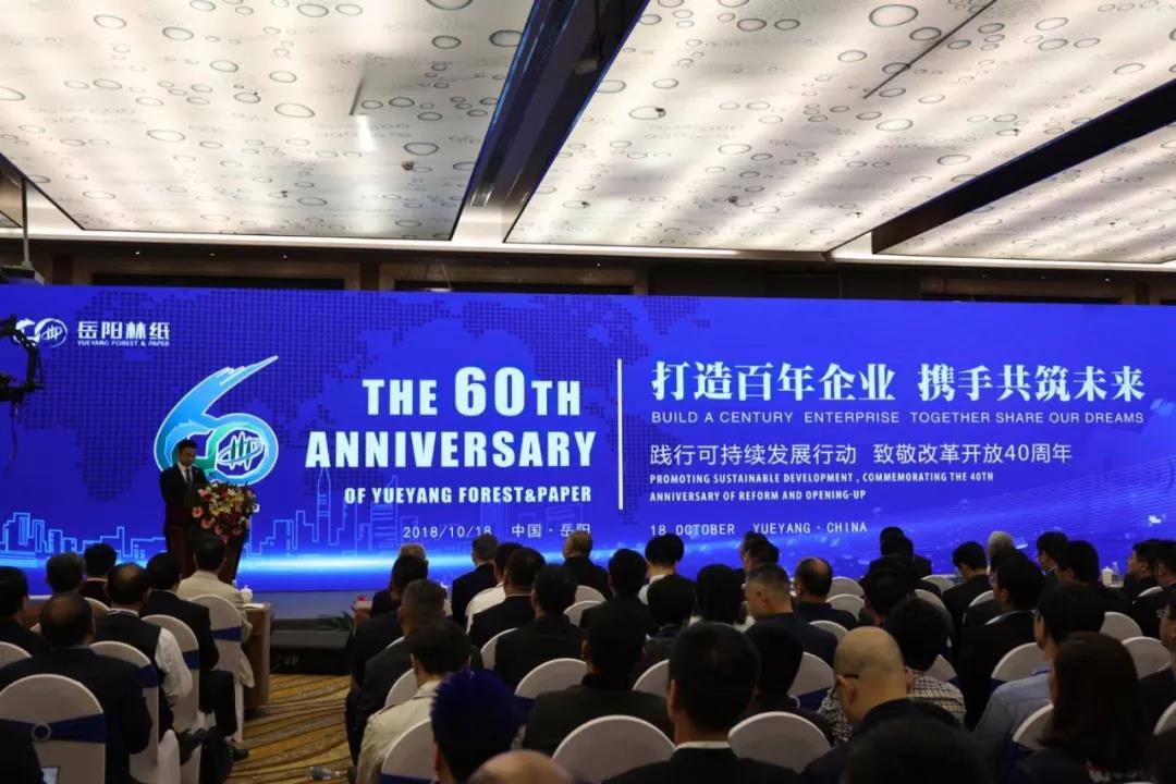 中国纸业与岳阳纸业,岳阳纸业简介