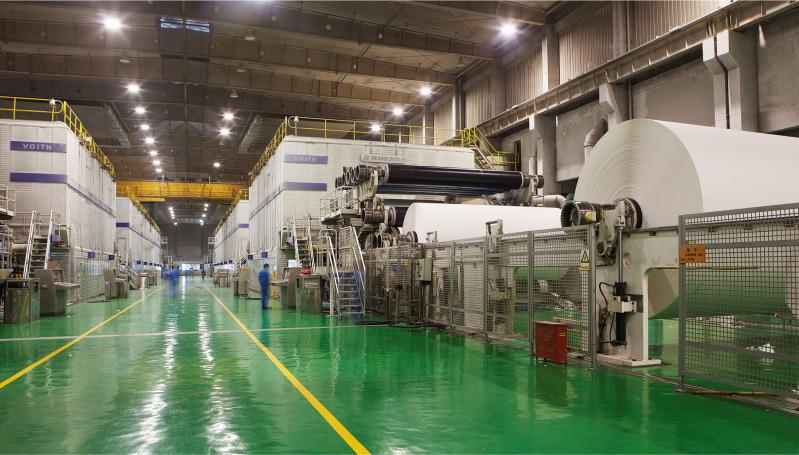 中国纸业与岳阳纸业,岳阳纸业简介