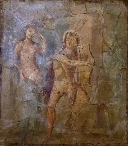 星球·jun｜达芙妮不是女鞋，阿波罗不是男子医院