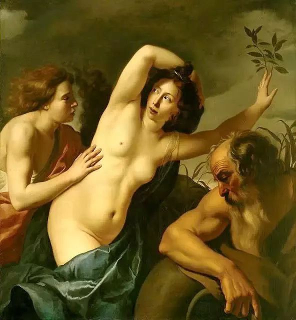 星球·jun｜达芙妮不是女鞋，阿波罗不是男子医院