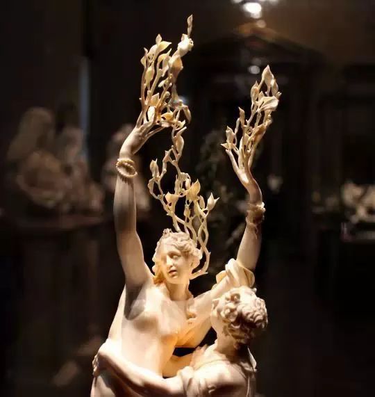 星球·jun｜达芙妮不是女鞋，阿波罗不是男子医院