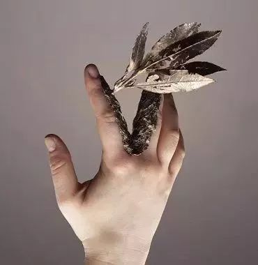 星球·jun｜达芙妮不是女鞋，阿波罗不是男子医院