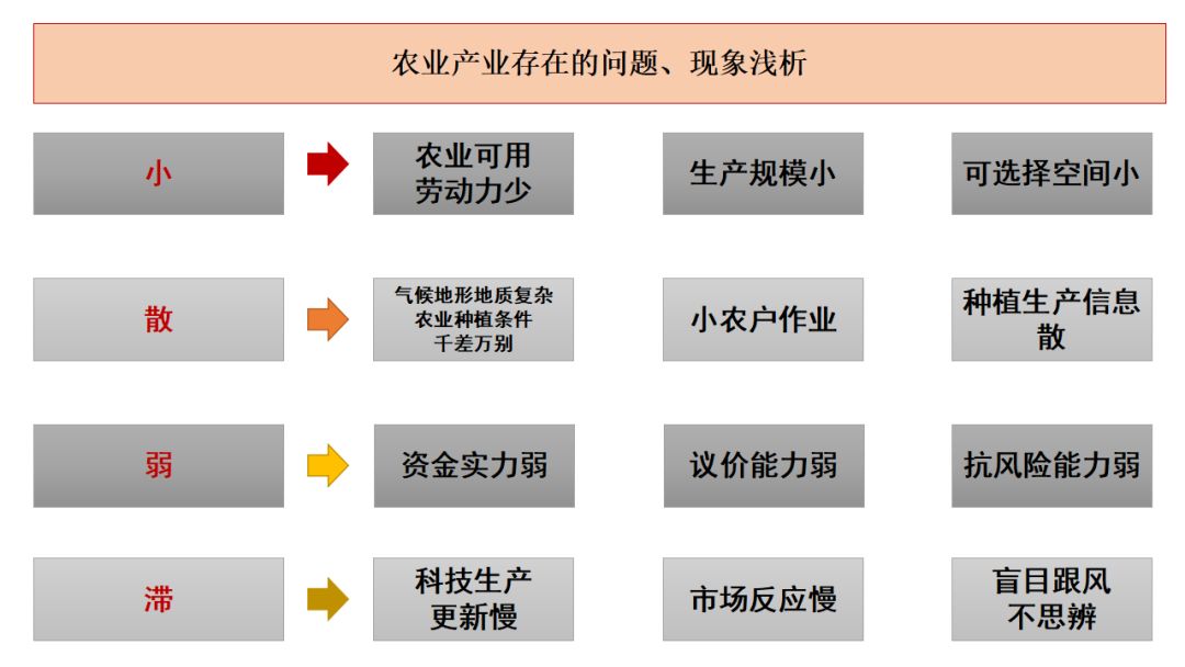 「解构B2B头部企业14」历史选择了粮达，粮达将回馈历史——粮达网的核心竞争力