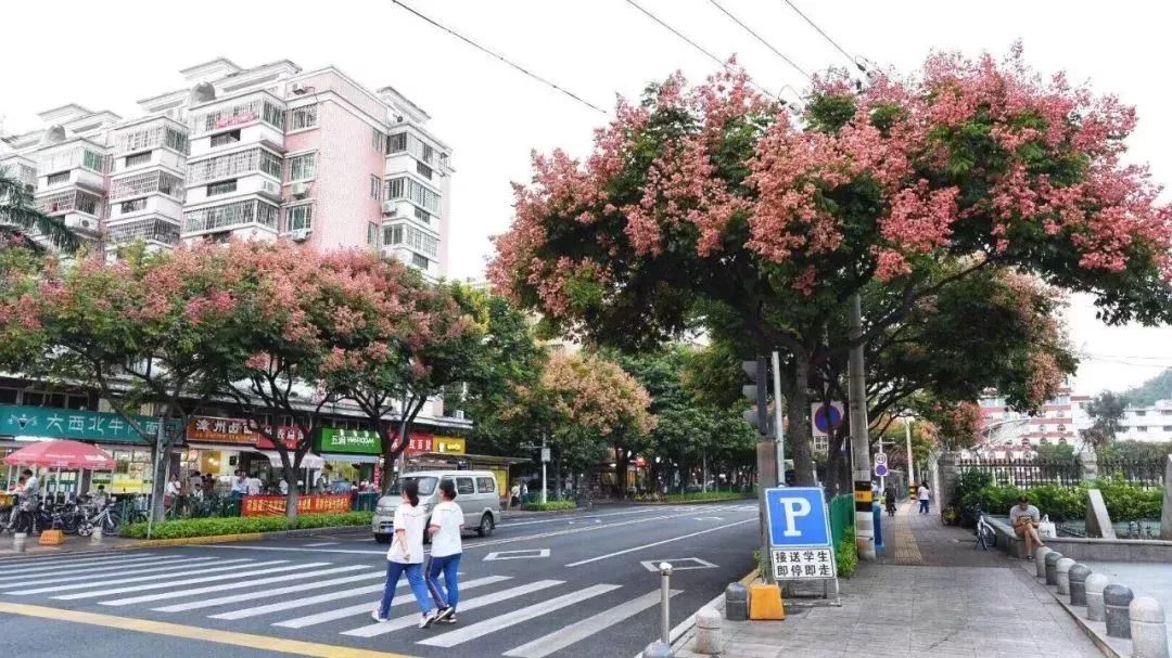 带你看美丽的厦门海边美景,厦门海洋最美丽的风景