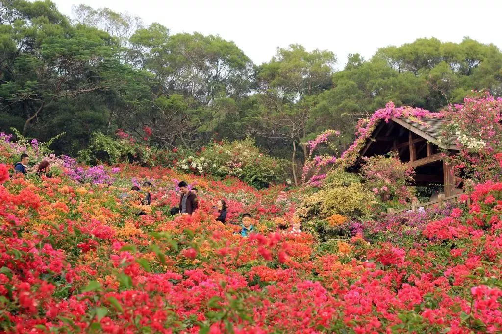 带你看美丽的厦门海边美景,厦门海洋最美丽的风景