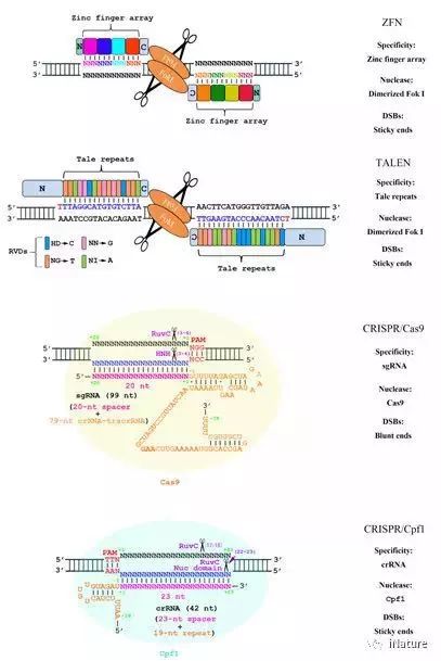 最先进的全套基因检测,最综合的基因数据库是哪个