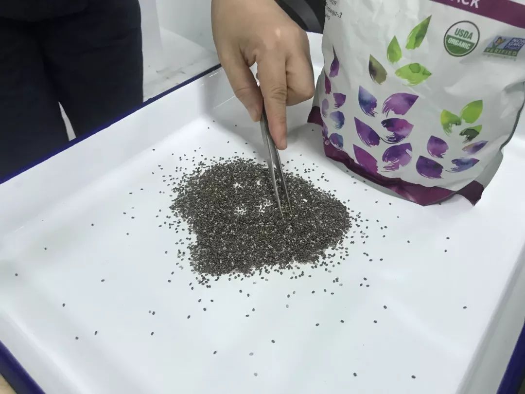 夜读海关｜厦门口岸平行进口汽车首破千辆，南通口岸首次截获有害生物中间乳白蚁