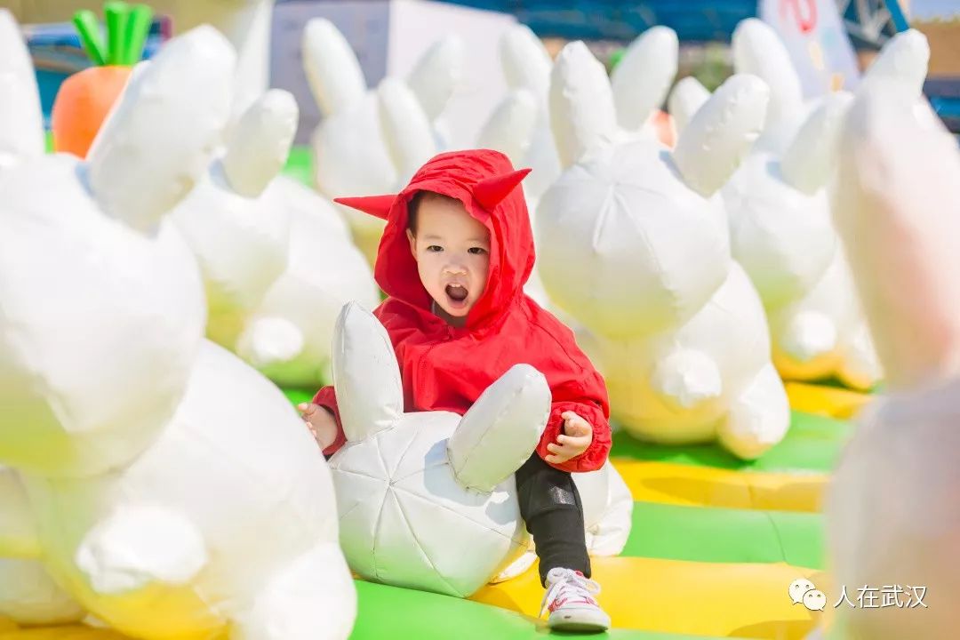 独角兽6层楼高，我去大人国的疯狂动物园转了一圈