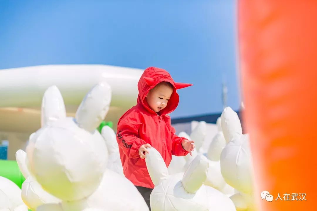 独角兽6层楼高，我去大人国的疯狂动物园转了一圈