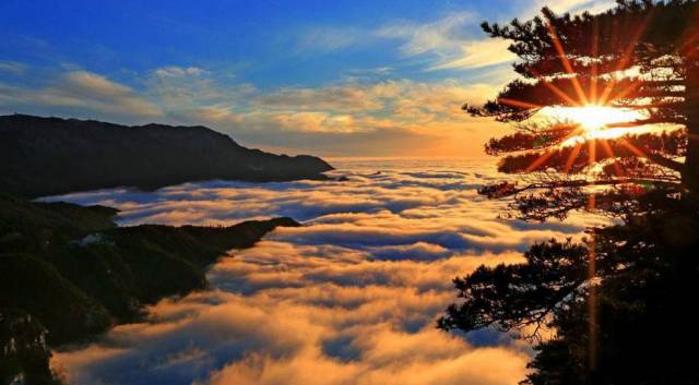 3月8号妇女节国家有规定放假吗,3月8日妇女节公司不给放假合法吗