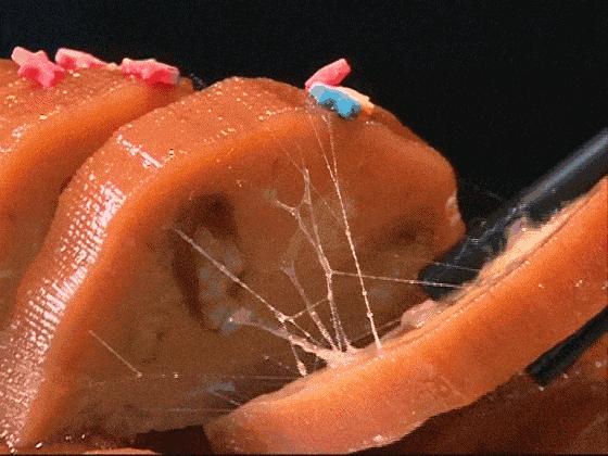 莲藕要几孔才好吃,莲藕几个孔是正宗的