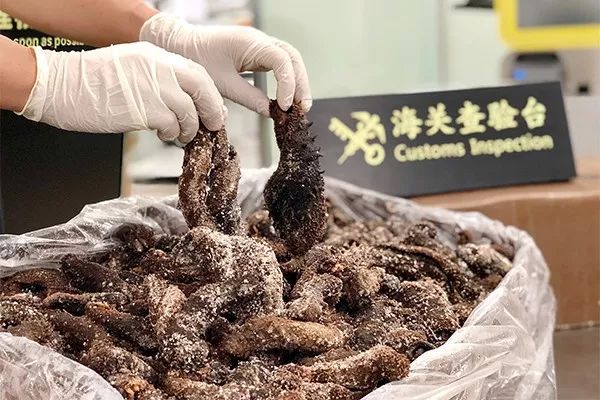 过海关带什么东西要罚款,过海关所有东西都会被查吗