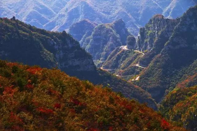 河南秋季最美红叶,河南十大红叶观赏地