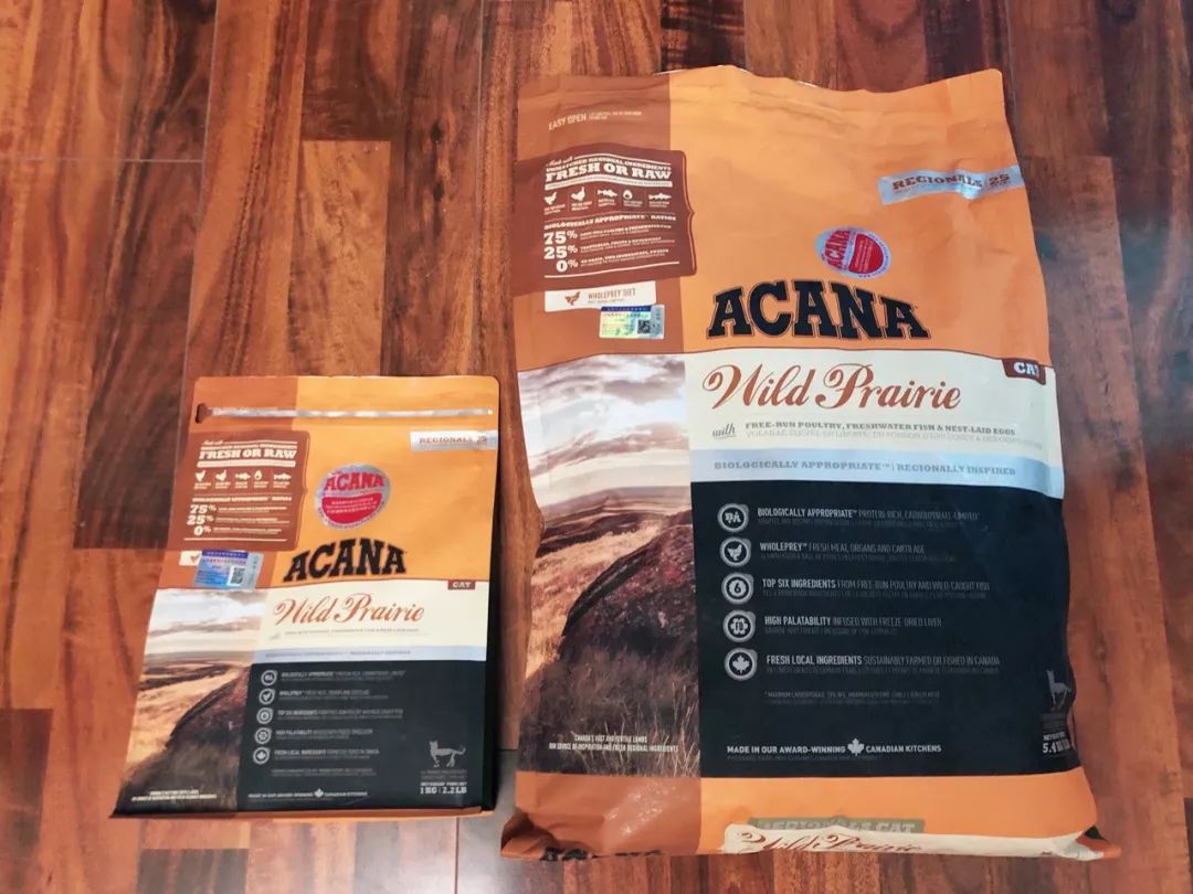 11.11宠物必买清单丨盘点那些被无限回购的萌宠爱用品