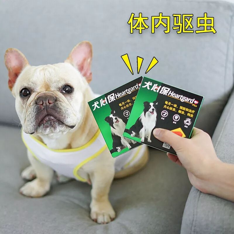 11.11宠物必买清单丨盘点那些被无限回购的萌宠爱用品