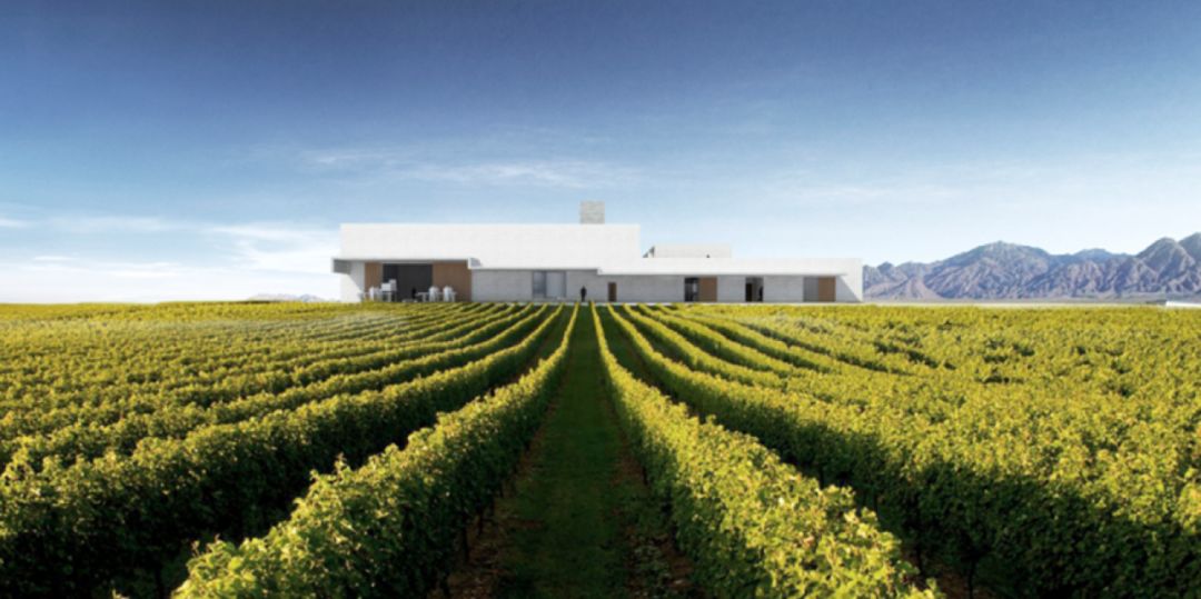 你还记得吗，那天晚上我们喝了什么？