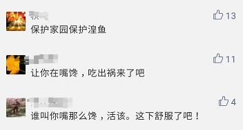 炖二级保护动物，还敢发短视频！这位网友火的很特别……