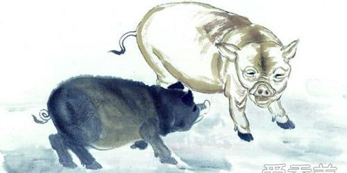 1947年属猪人2024年健康运势,1947年属猪女2022年运势