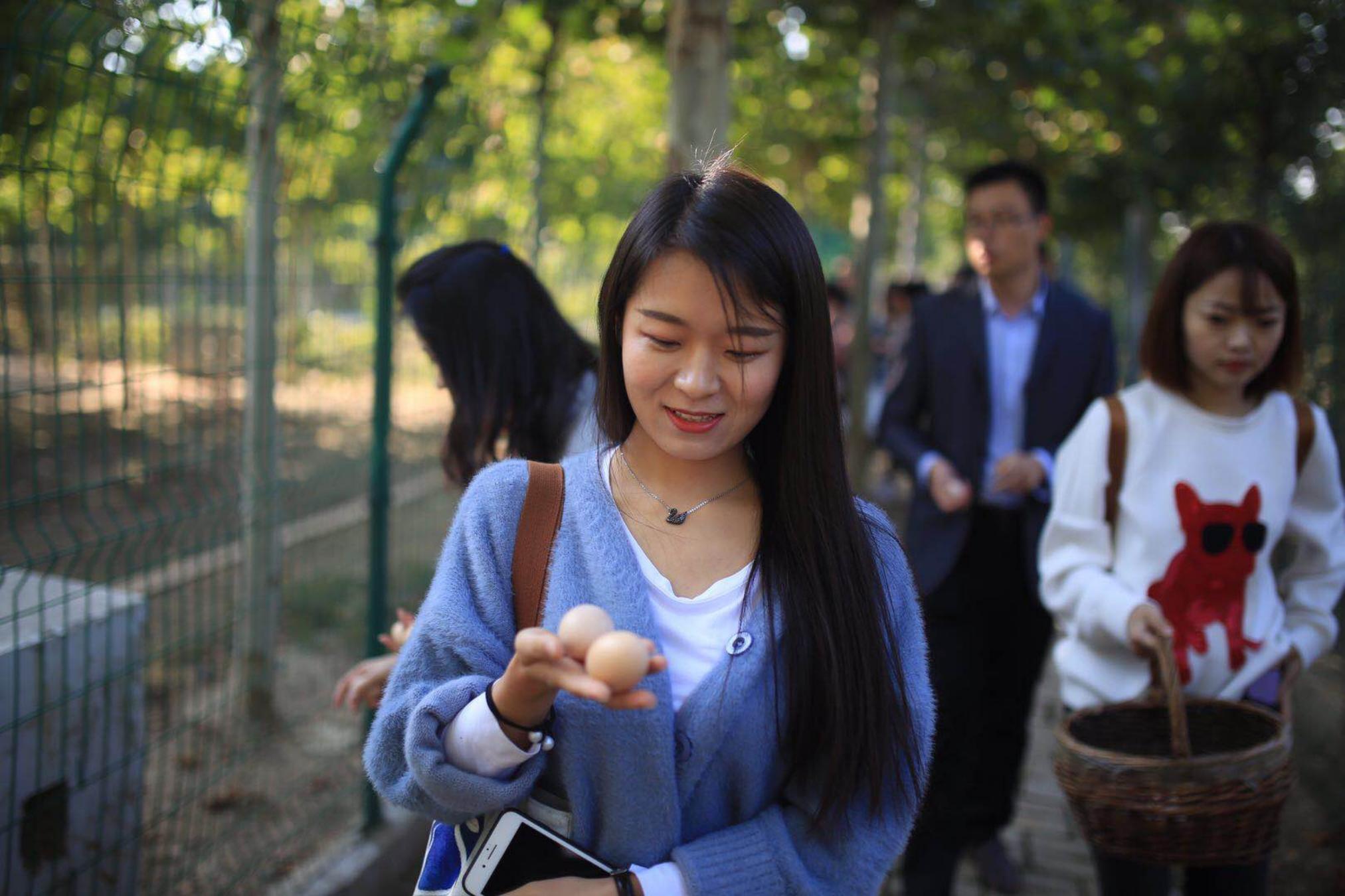 汶上芦花鸡养殖,汶上芦花鸡地方名吃