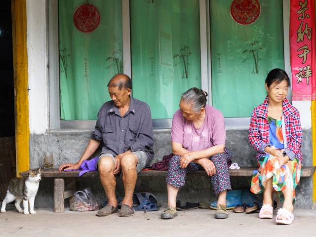 好甜的红心猕猴桃,野生猕猴桃好甜