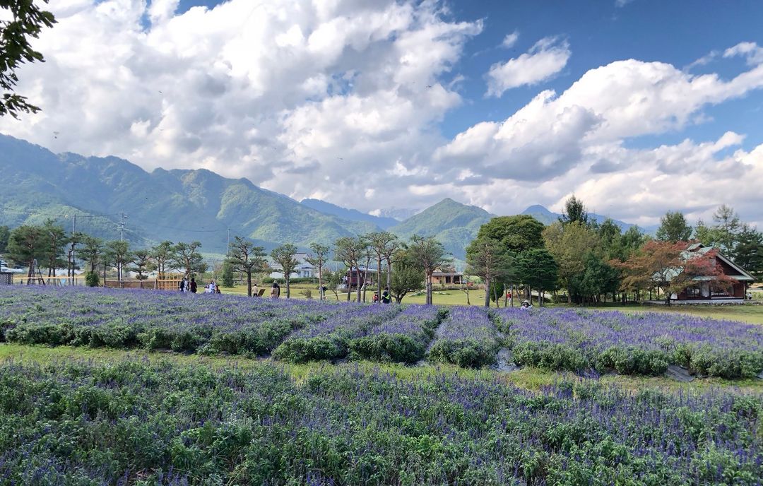日本国立新美术馆,日本最美五大艺术馆