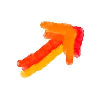 向所有战役人员致敬,向所有为疫情努力的人致敬