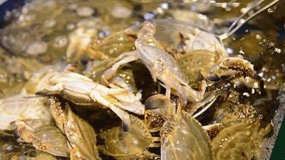 担心!这家哈达店的菜花紫甘蓝,那家地利生鲜的韭菜,还有这些家的菠菜油菜老黄瓜……丨13批次菜肉抽检腐霉利、毒死蜱检出不合格