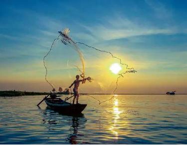 鄱阳湖大地之树怎么形成的,鄱阳湖现大地之树自然景观