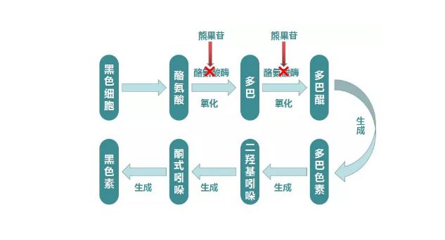 白得快又安全？YES！美白届的“新生”力量，这一小支做到了