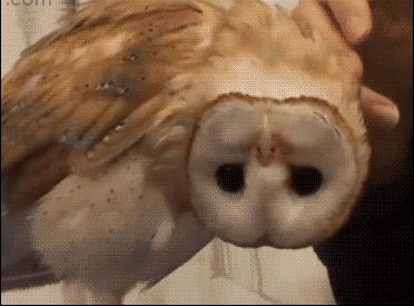 推荐冷知识书籍,20个颠覆你认知的法律冷知识