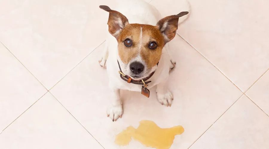 反复烧开的水不致癌！这些生活小误区，别再上当了