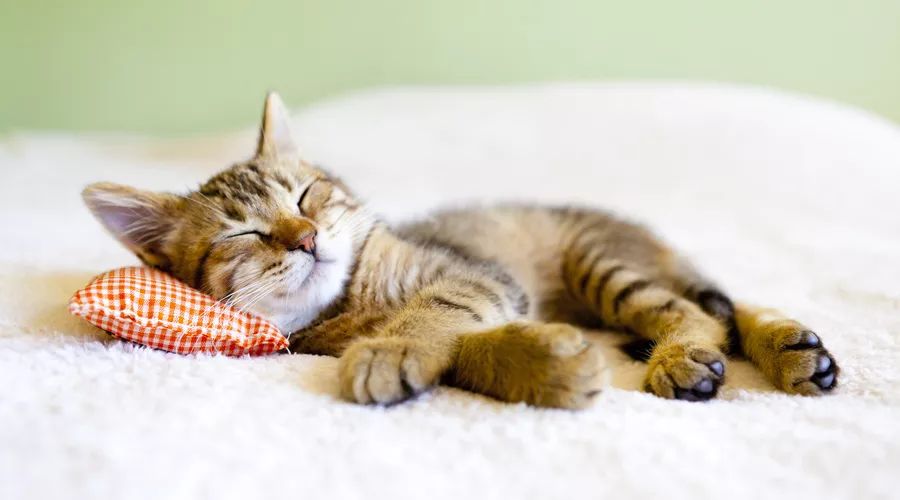 反复烧开的水不致癌！这些生活小误区，别再上当了