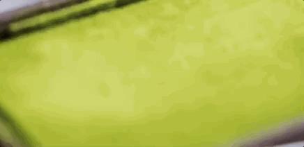 好吃不贵年货囤起来,好吃不贵国货