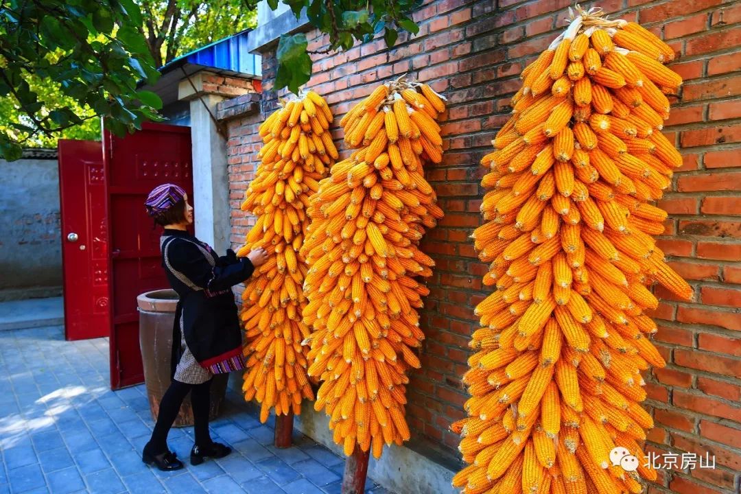 金秋去哪里旅游比较好,秋季周边游的绝佳去处